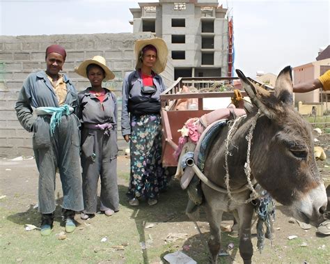  The Wise Woman and the Wandering Donkey!  A 14th-Century Ethiopian Tale About Cunning, Patience, and Unexpected Friendships